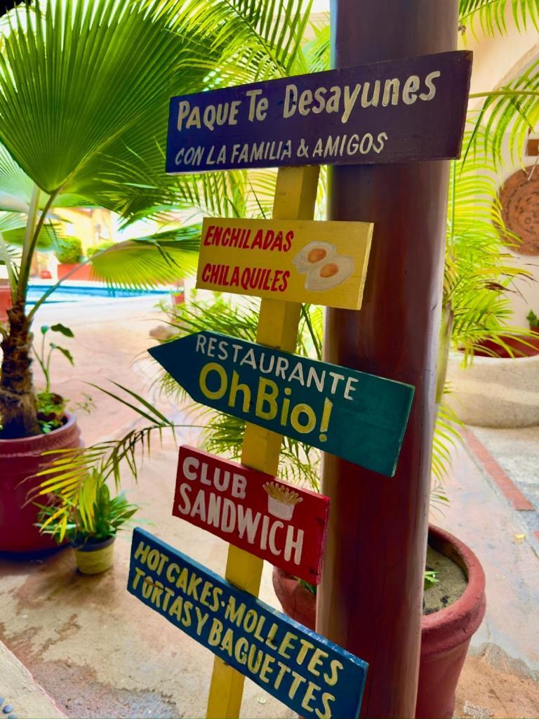 Hotel Zihuatanejo Centro エクステリア 写真